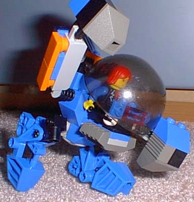 005.jpg