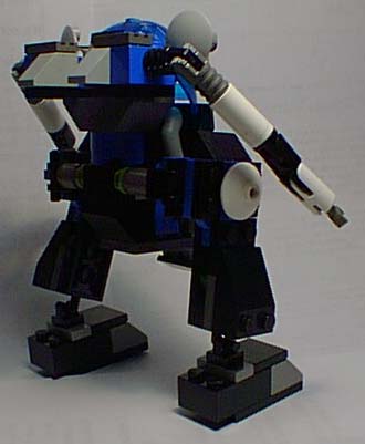 back.jpg