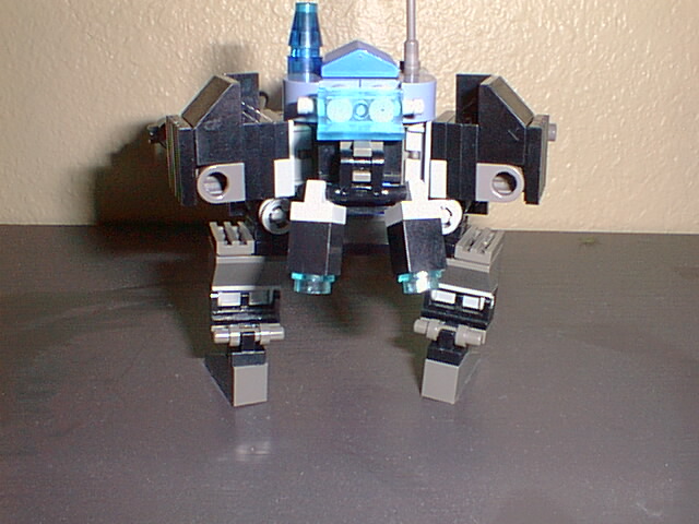 backview.jpg