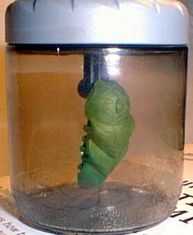 kepen.jpg