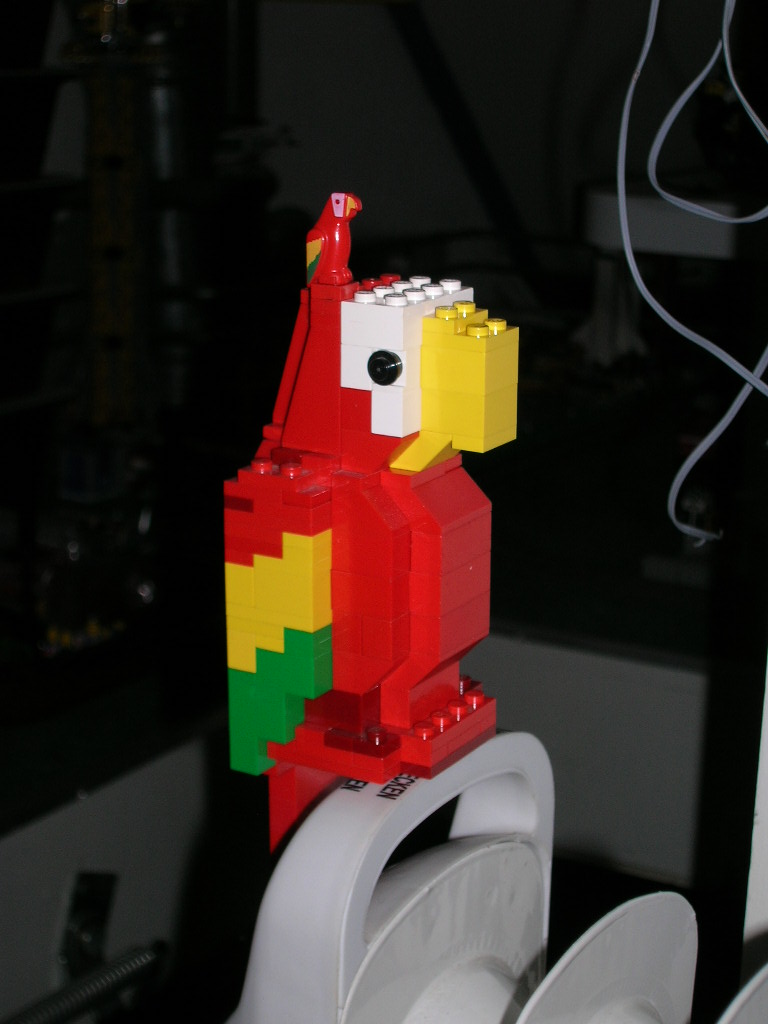 g_-_big_parrot_-3.jpg