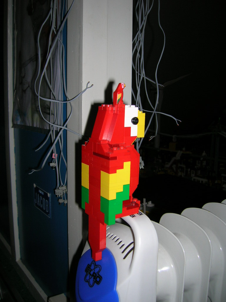 g_-_big_parrot_-4.jpg