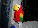 g_-_big_parrot_-1.jpg