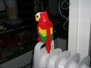 g_-_big_parrot_-2.jpg