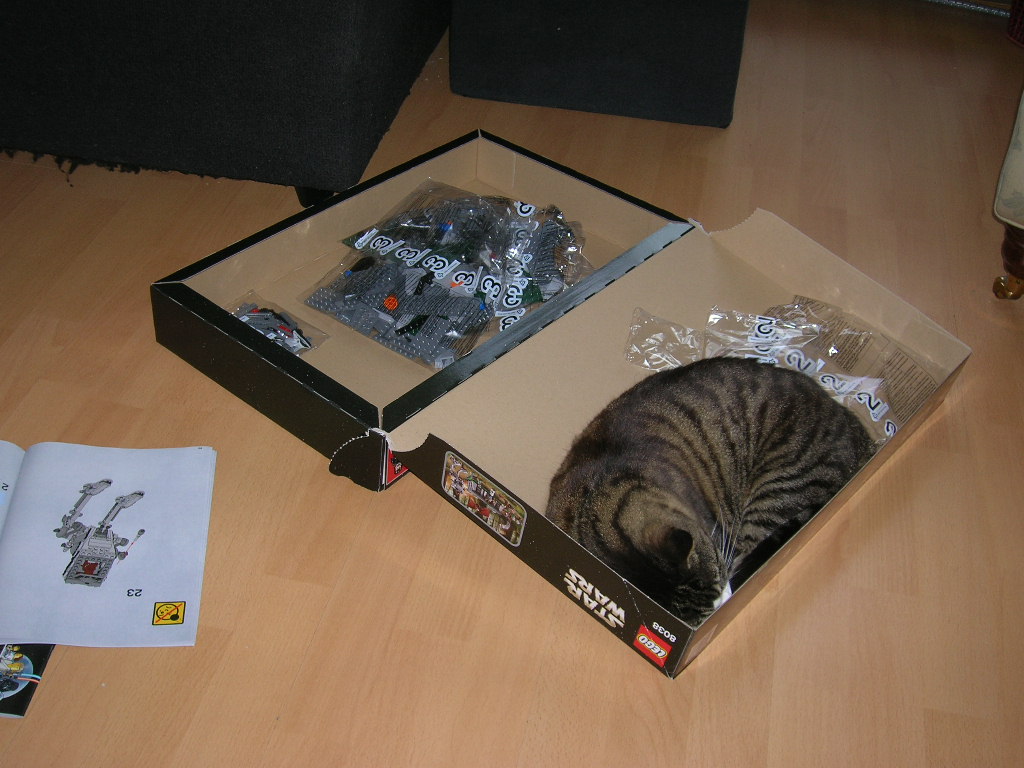 b_-_jedi_cat_-1.jpg