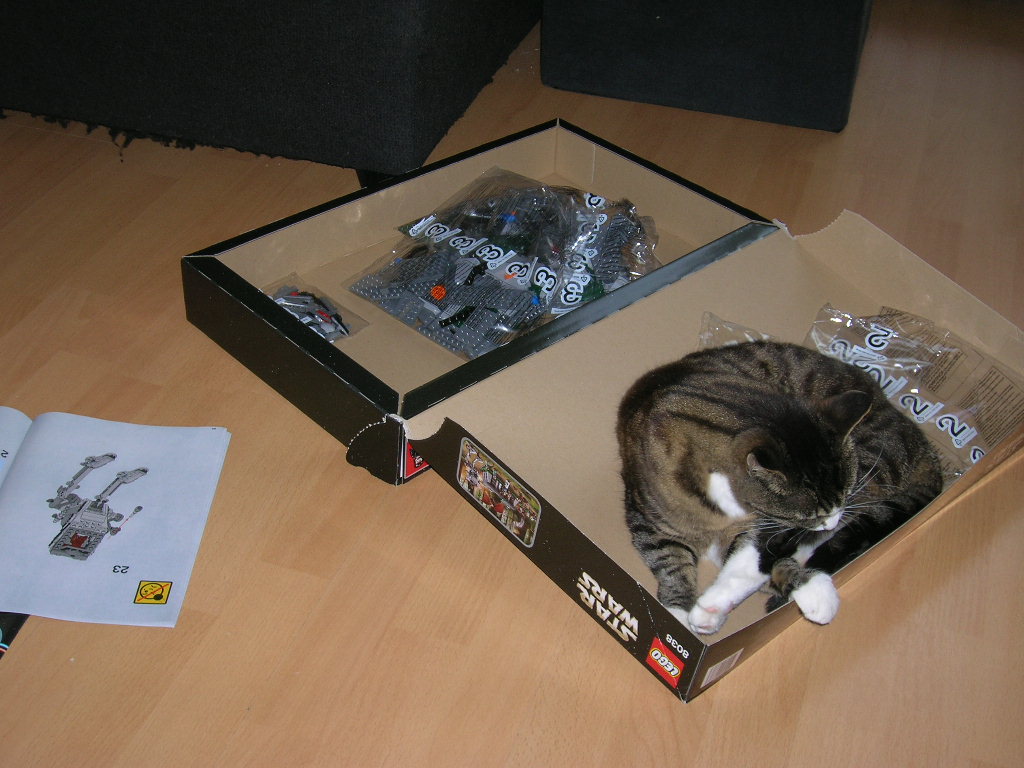 b_-_jedi_cat_-2.jpg