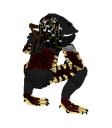 p.png