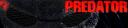 predatorbanner.jpg