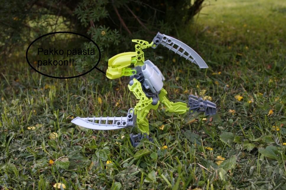 the_matoran_001.jpg