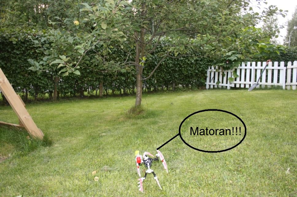 the_matoran_006.jpg