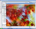 bioscreen1.bmp