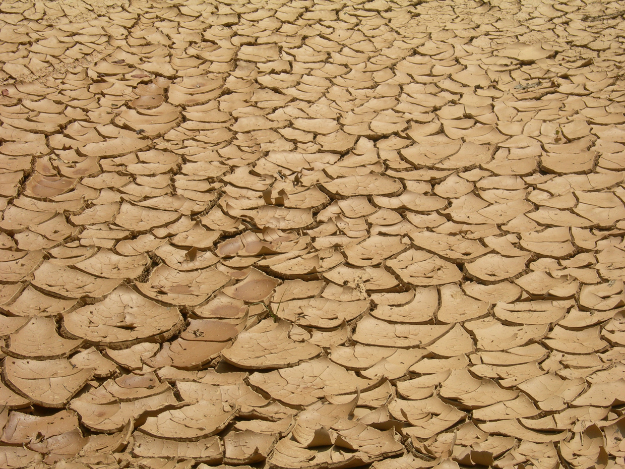 mudcracks.jpg