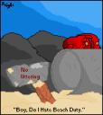 zzzbeachduty.png
