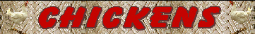 chickens.jpg