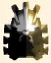 toasithavatar.gif
