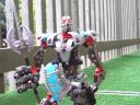 100b2950.jpg