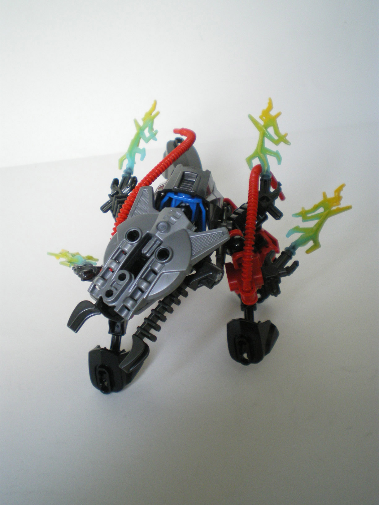 imgp9482.jpg