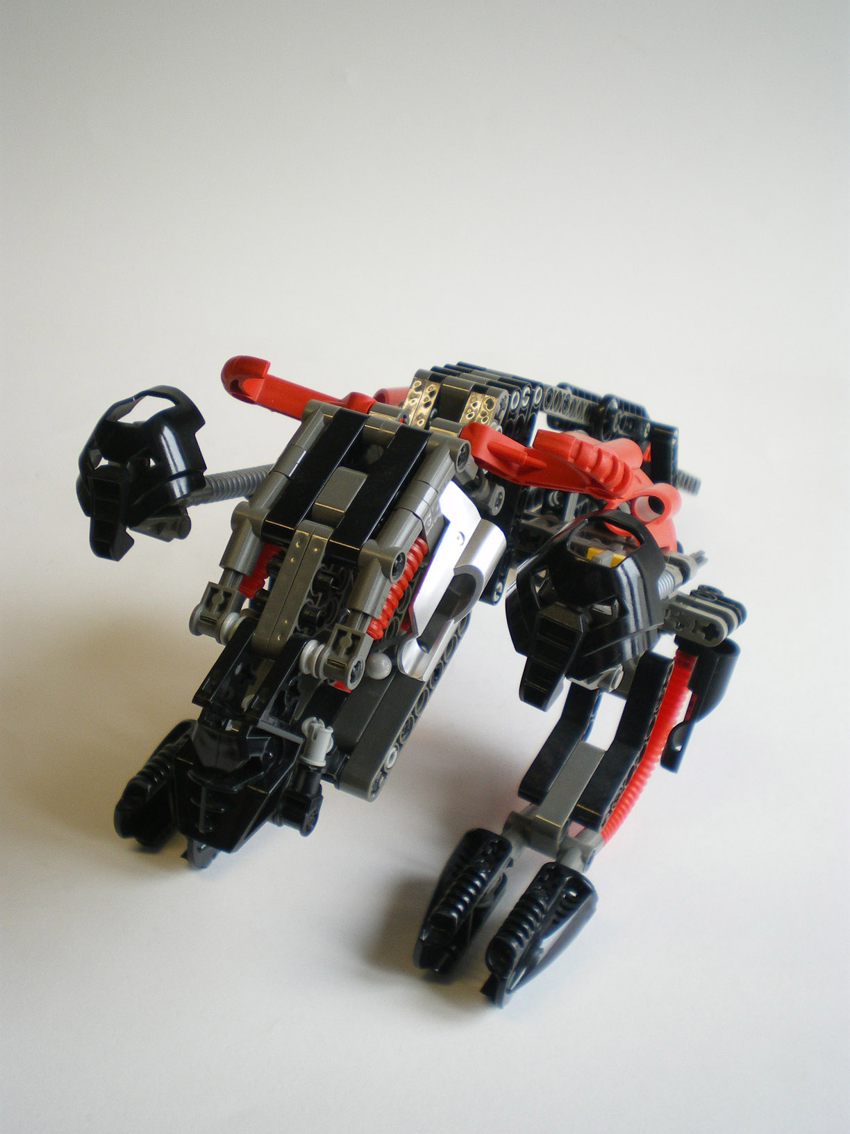 imgp2111.jpg