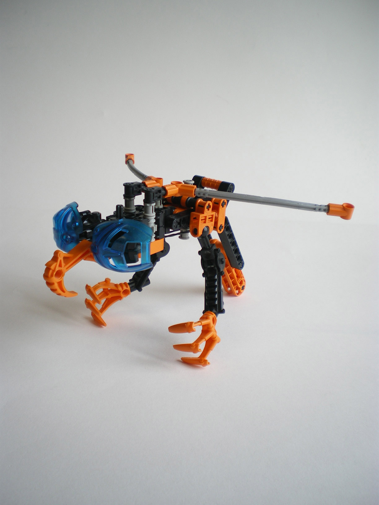 imgp1911.jpg