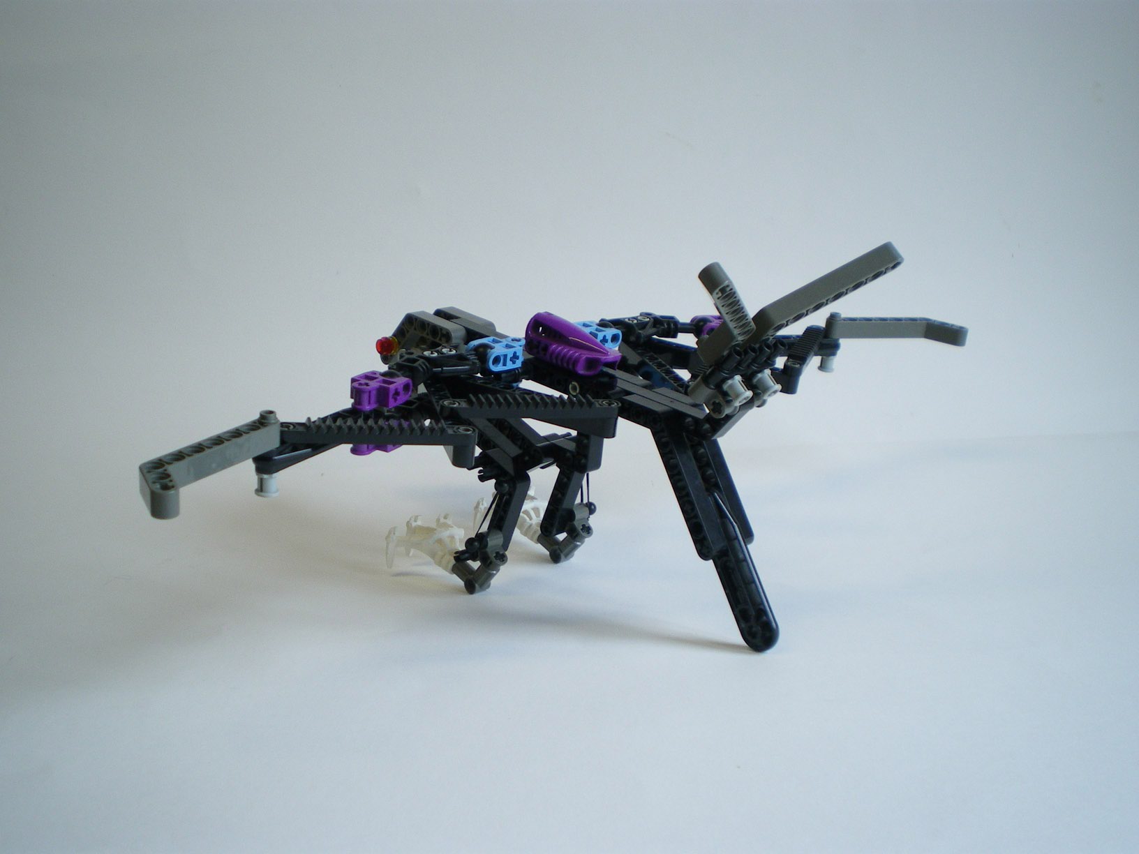imgp7835.jpg