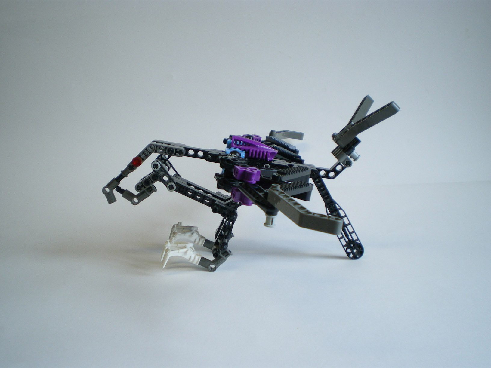 imgp7836.jpg