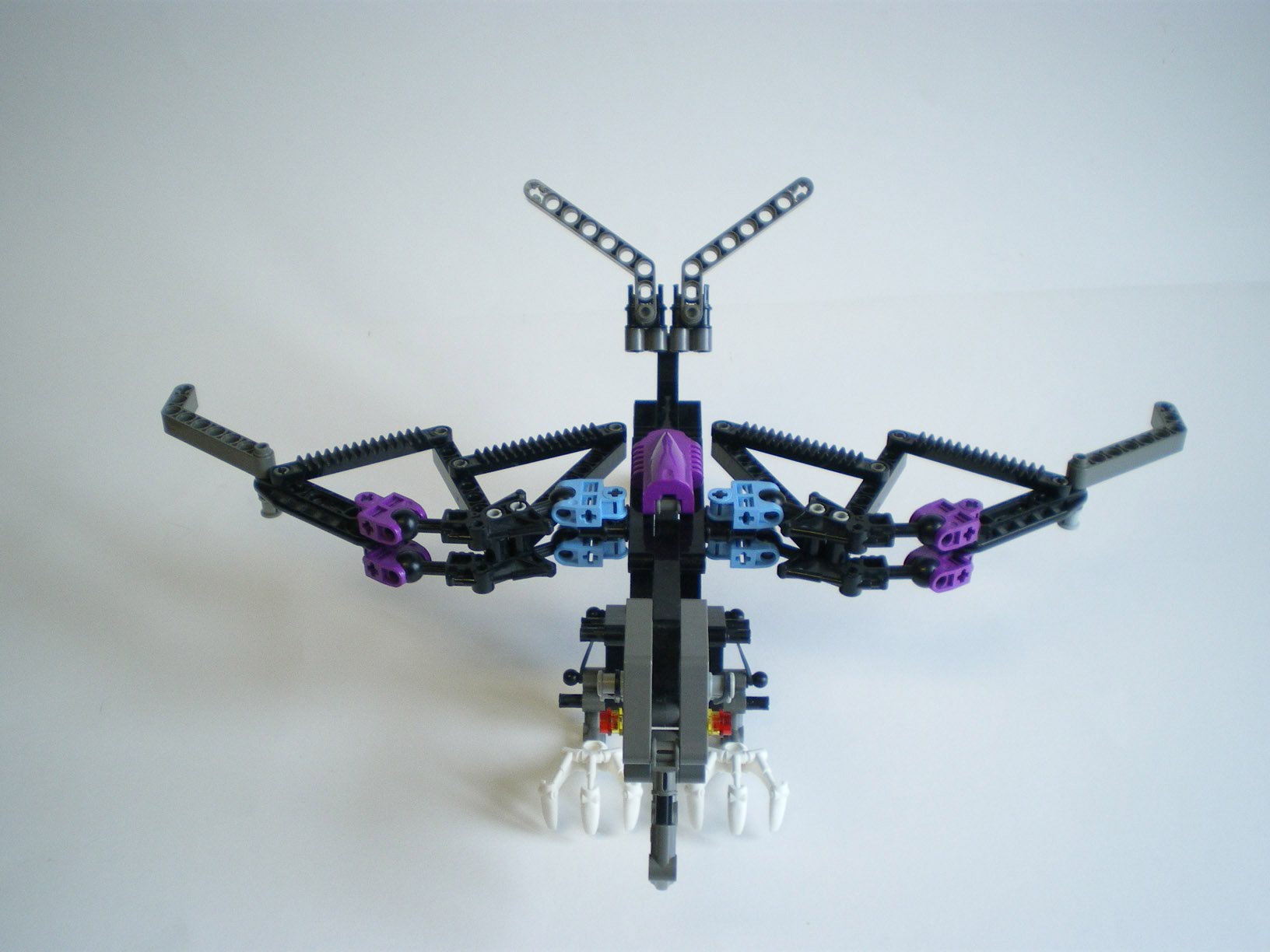 imgp7840.jpg