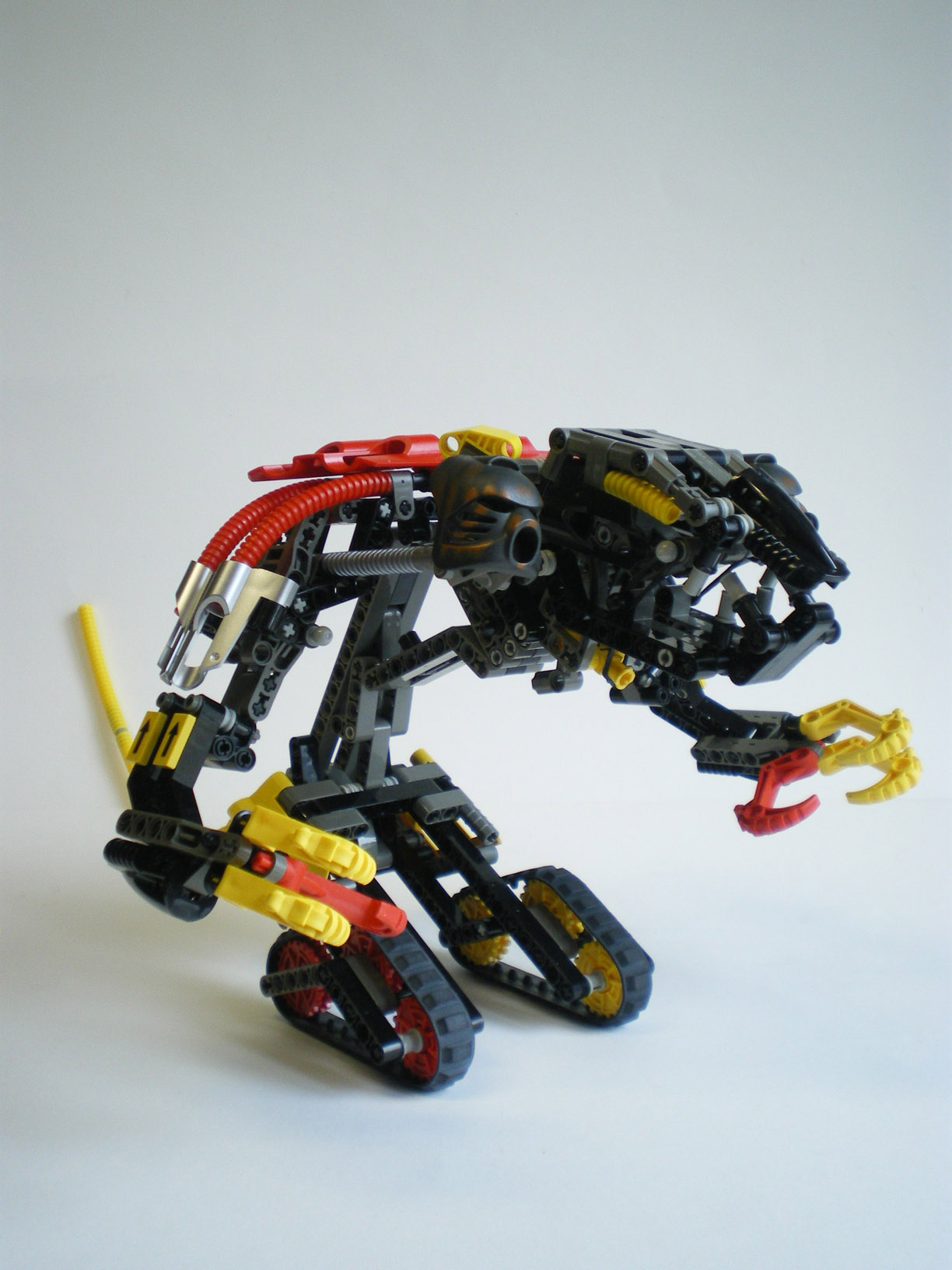 imgp7868.jpg