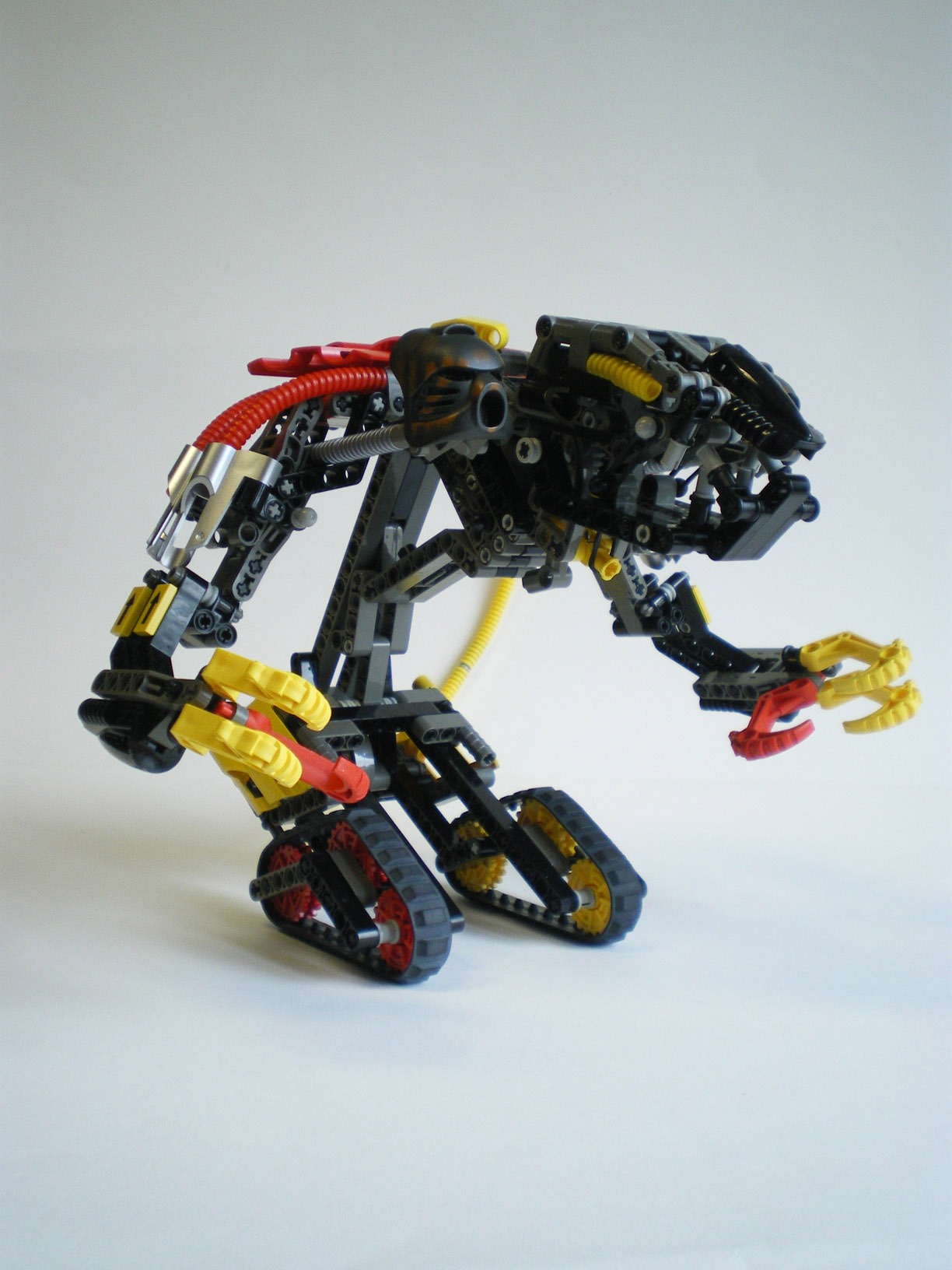 imgp7886.jpg