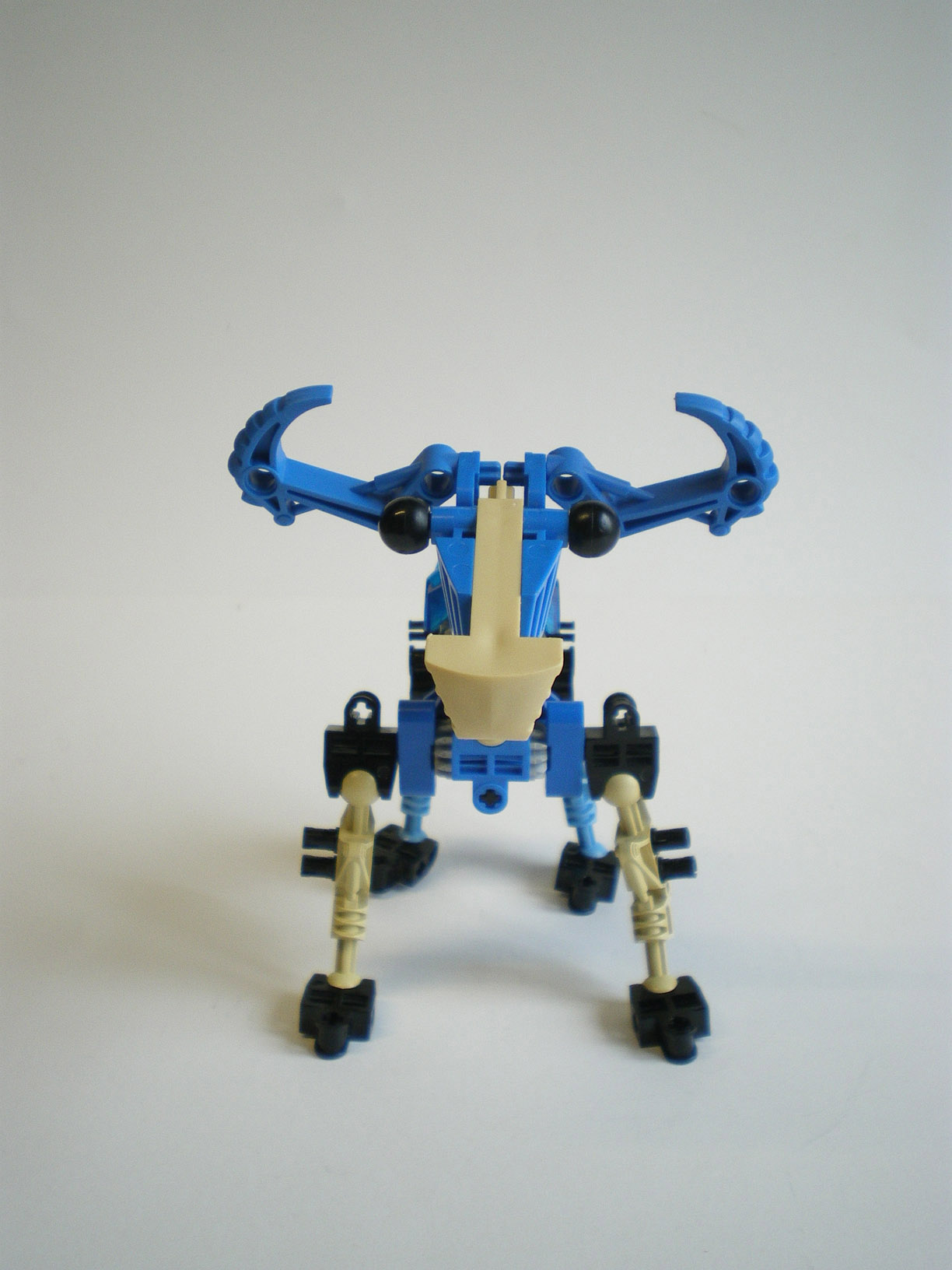 imgp7910.jpg