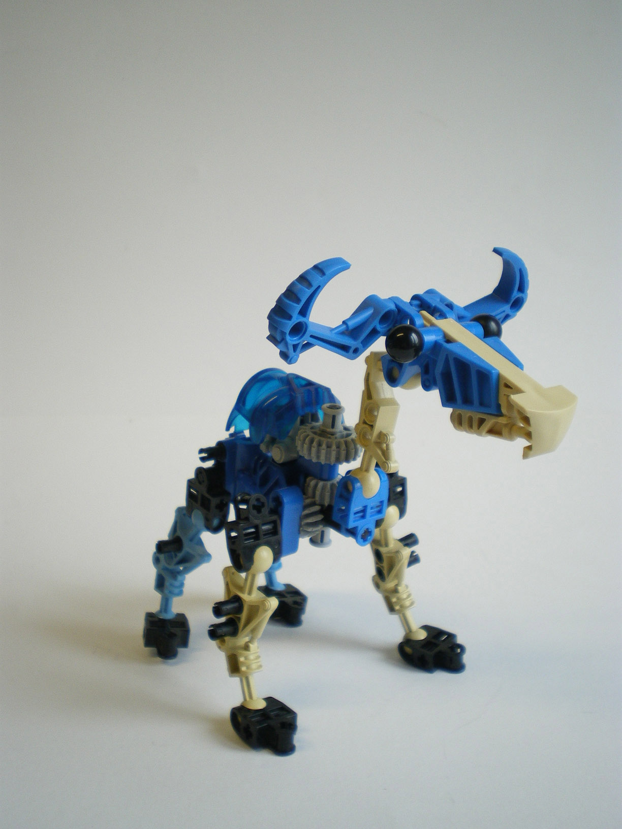 imgp7911.jpg