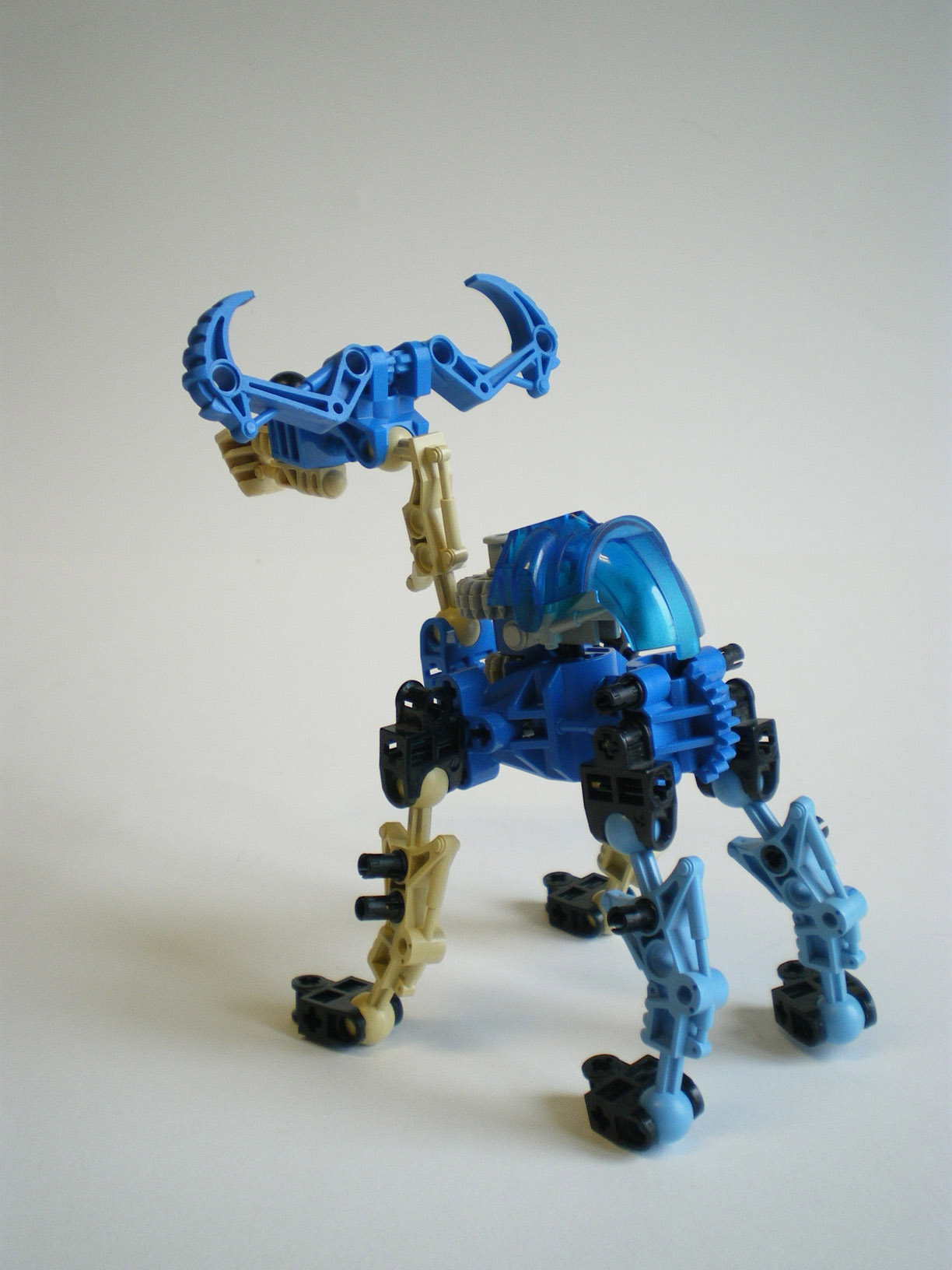 imgp7915.jpg