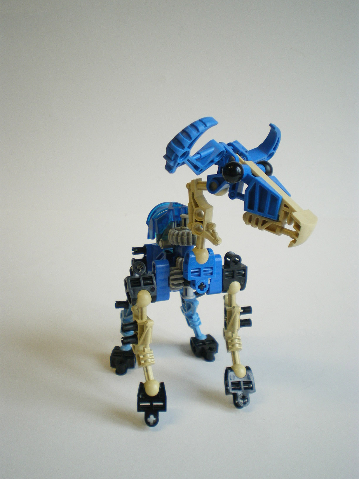 imgp7924.jpg