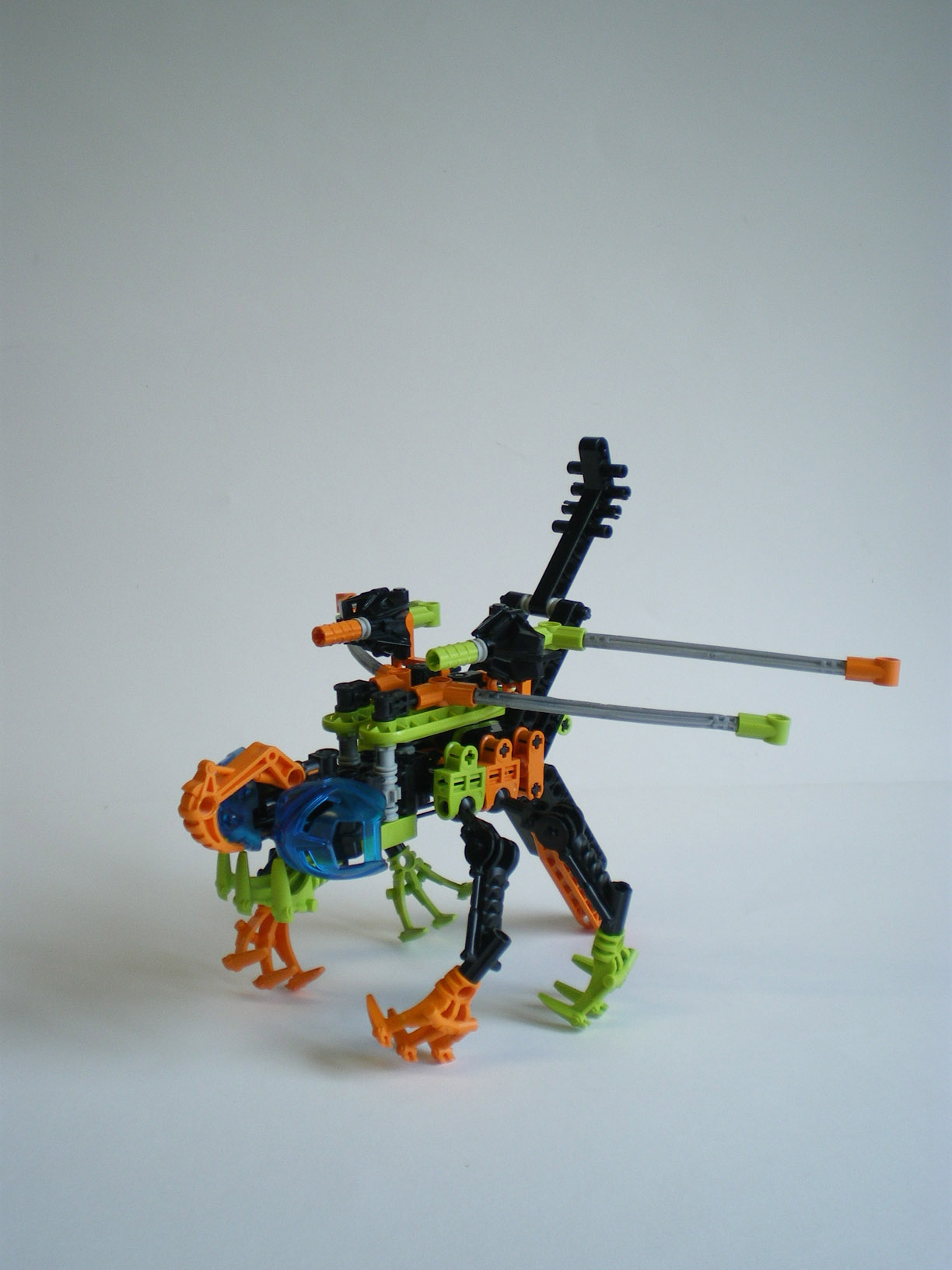 imgp0000.jpg