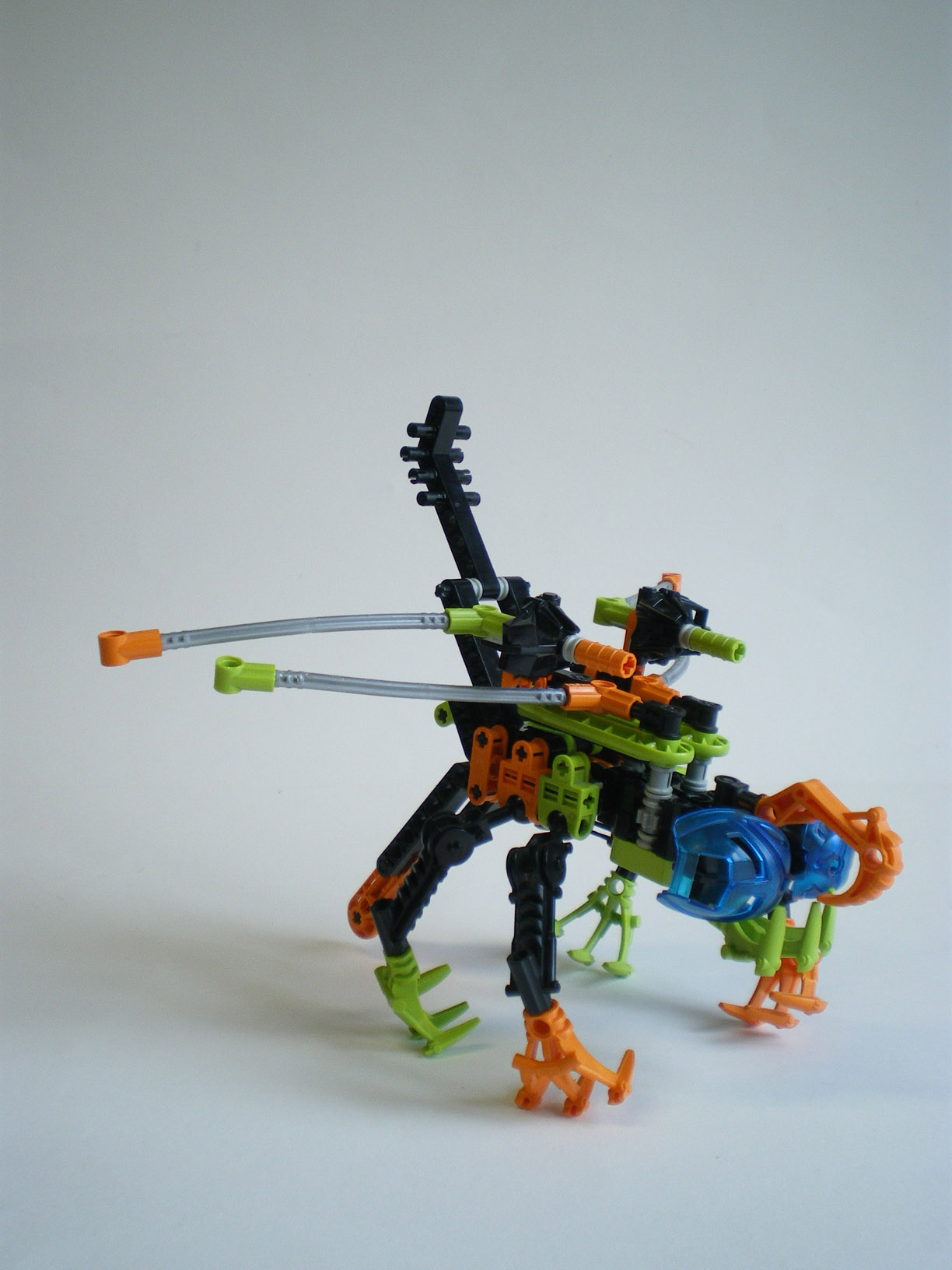 imgp7810.jpg