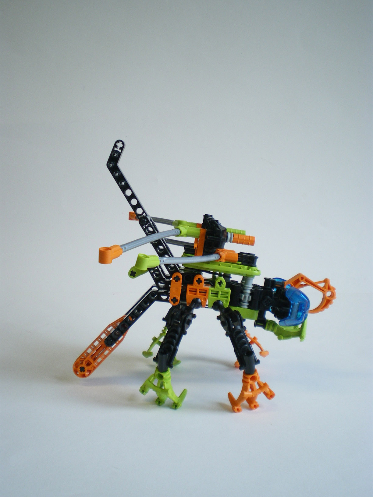 imgp7811.jpg