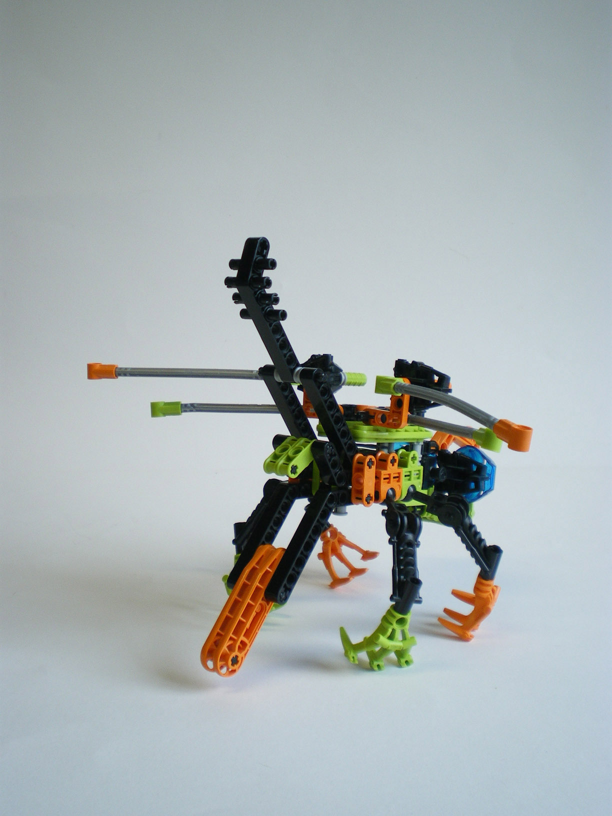imgp7812.jpg