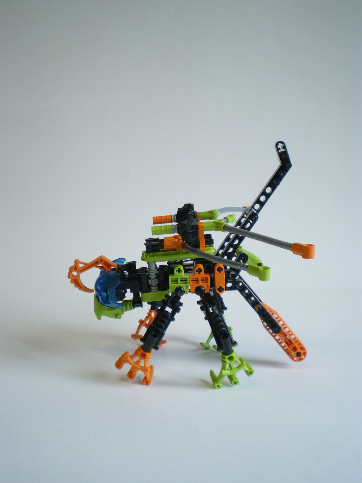 imgp7815.jpg