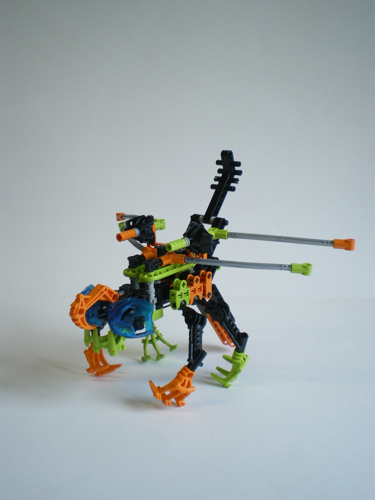imgp7816.jpg