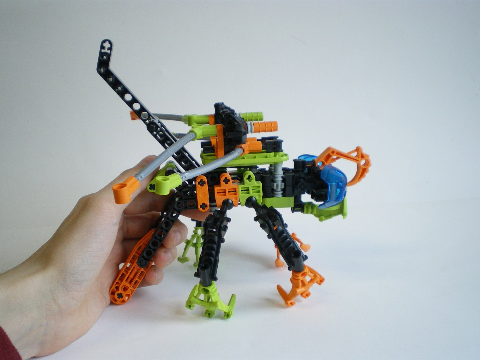 imgp7817.jpg