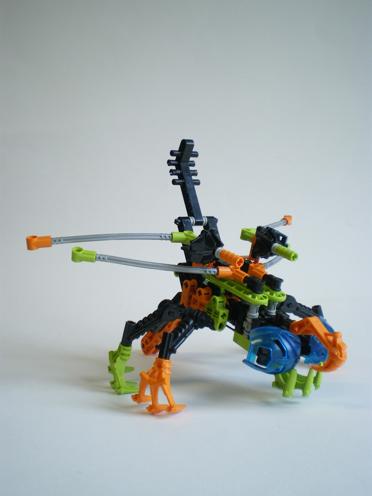 imgp7820.jpg