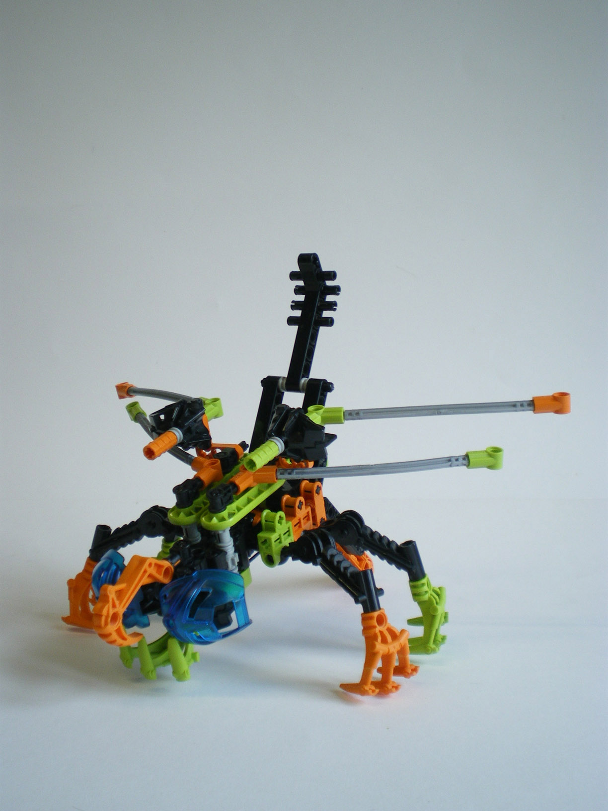 imgp7822.jpg