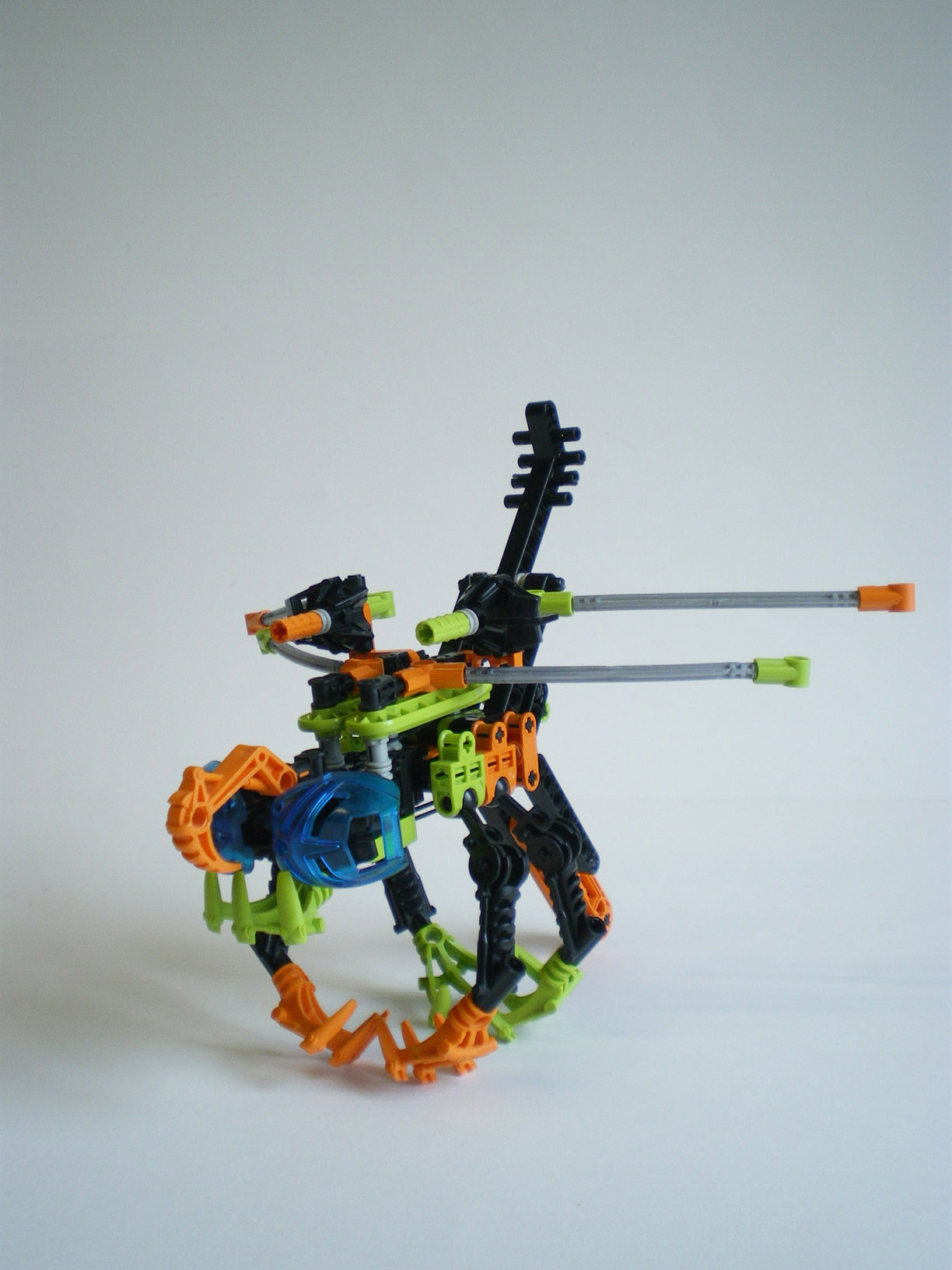 imgp7824.jpg