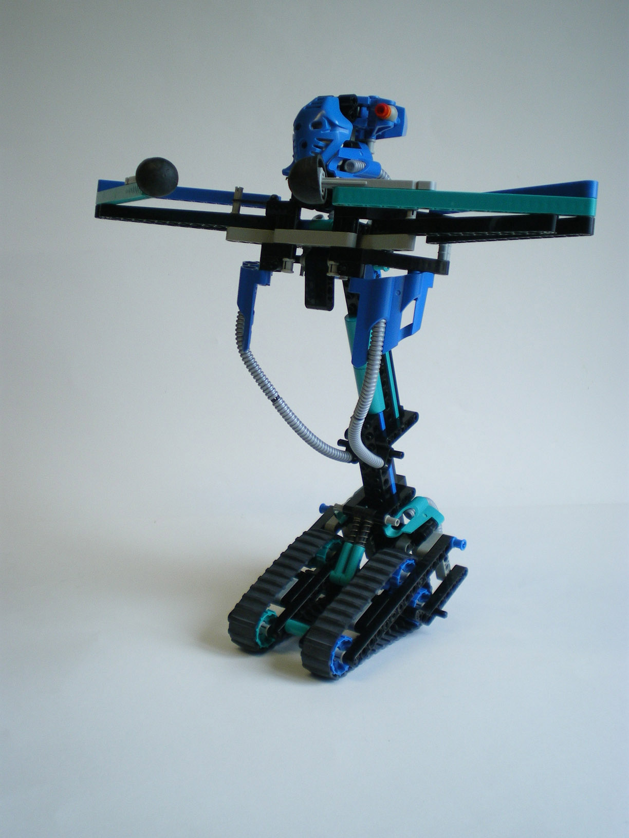 imgp7856.jpg