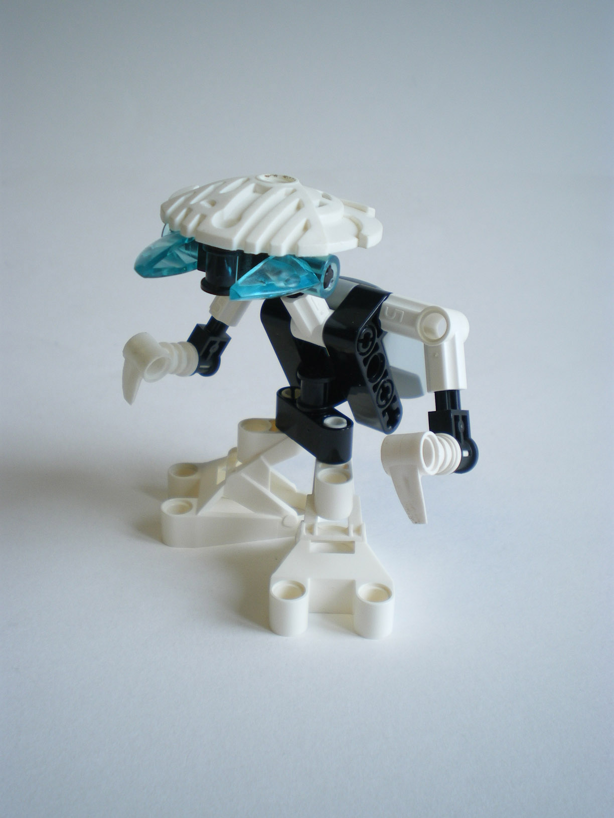 imgp2209.jpg