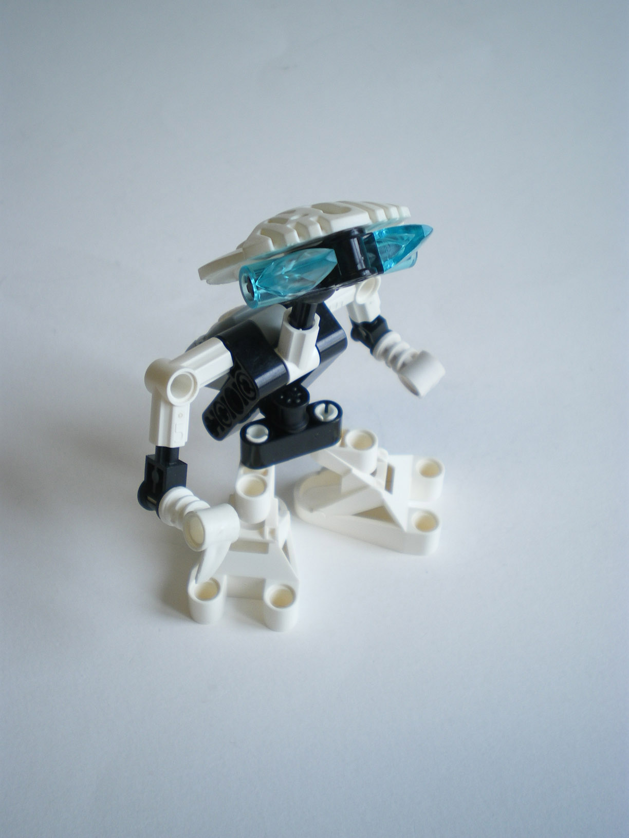 imgp2214.jpg
