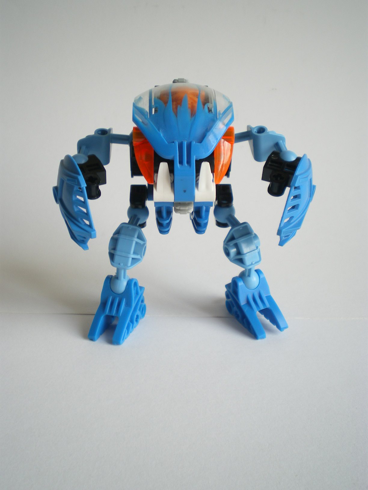 imgp7161.jpg