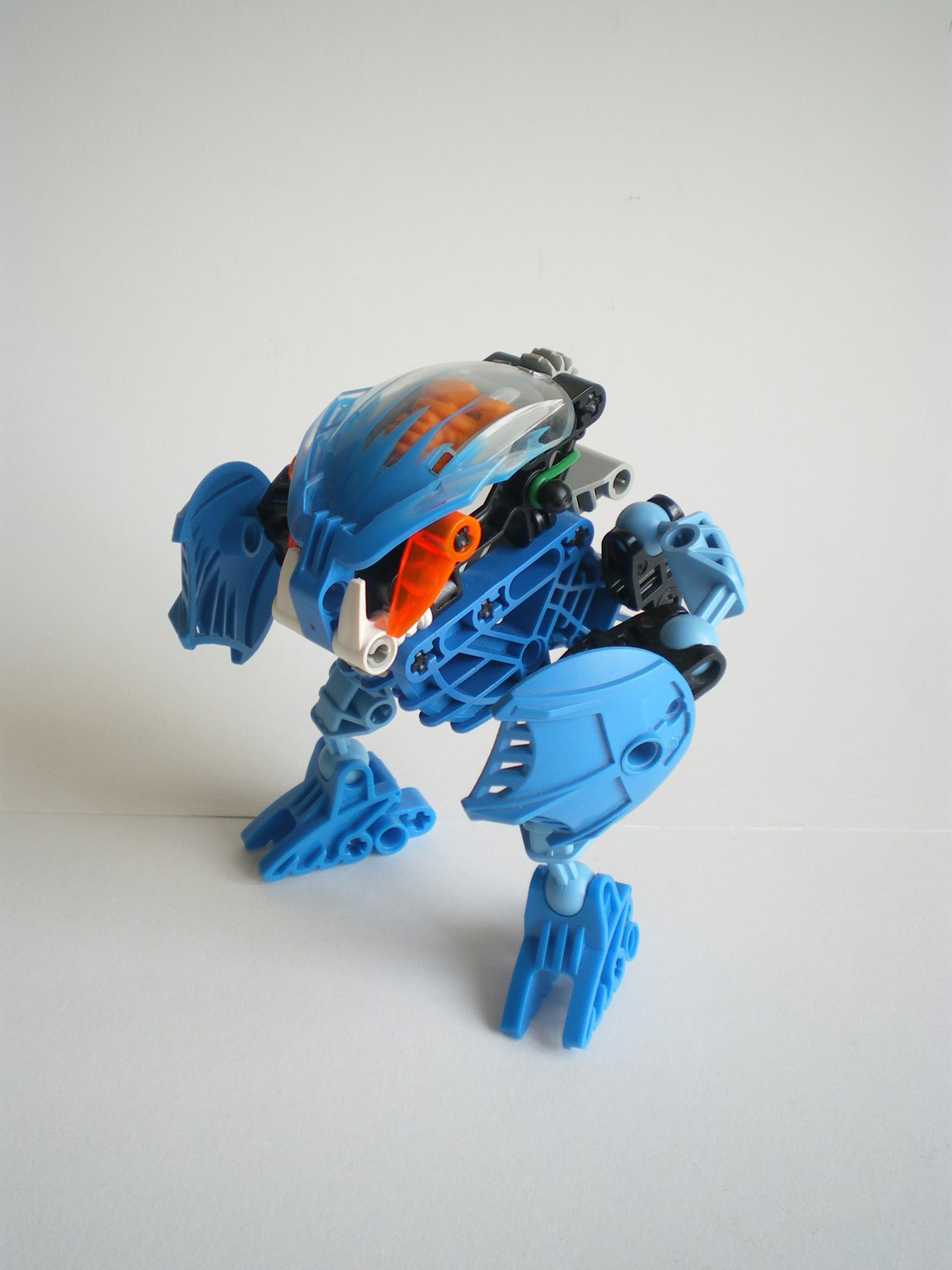 imgp7169.jpg
