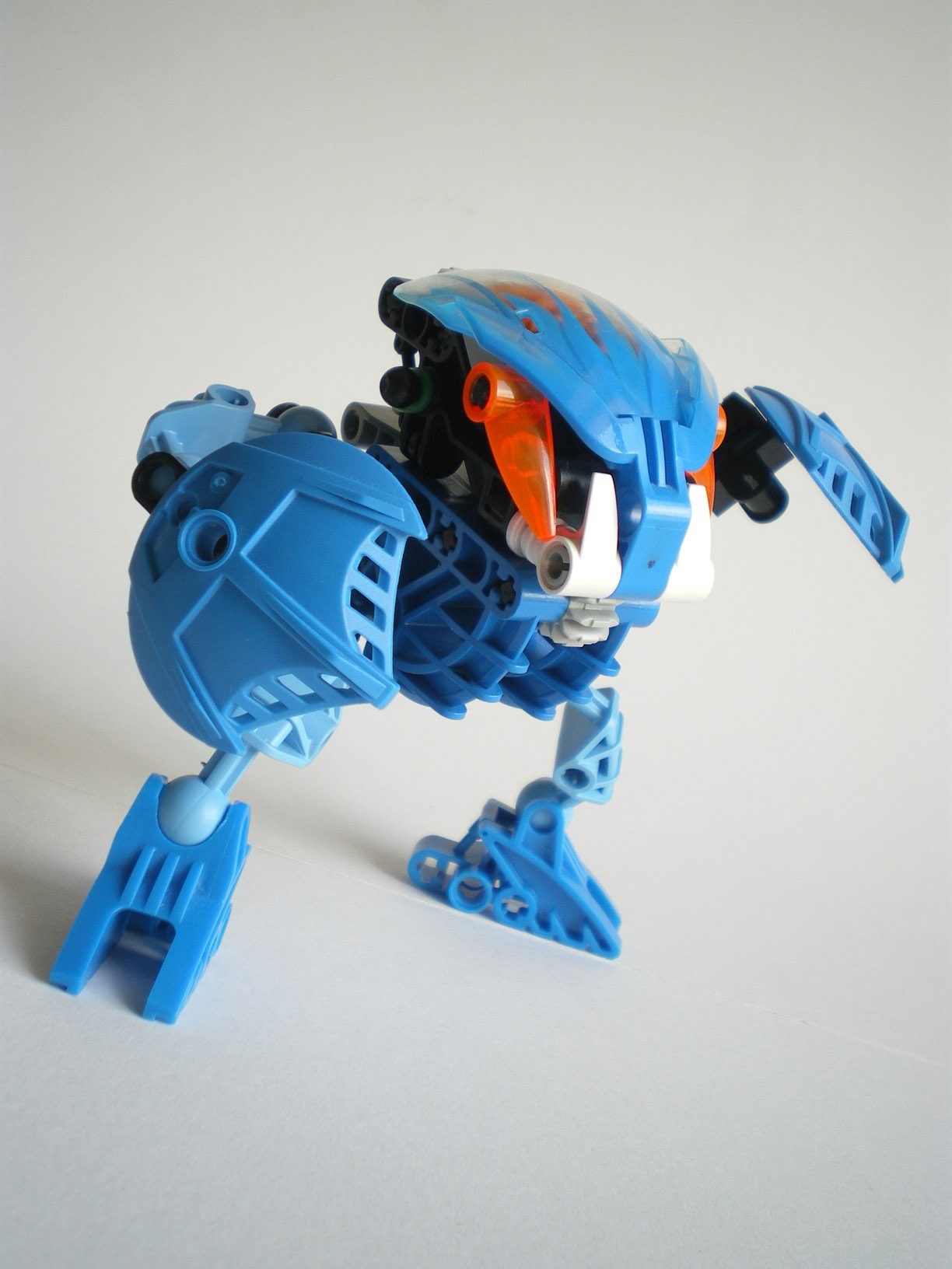 imgp7172.jpg