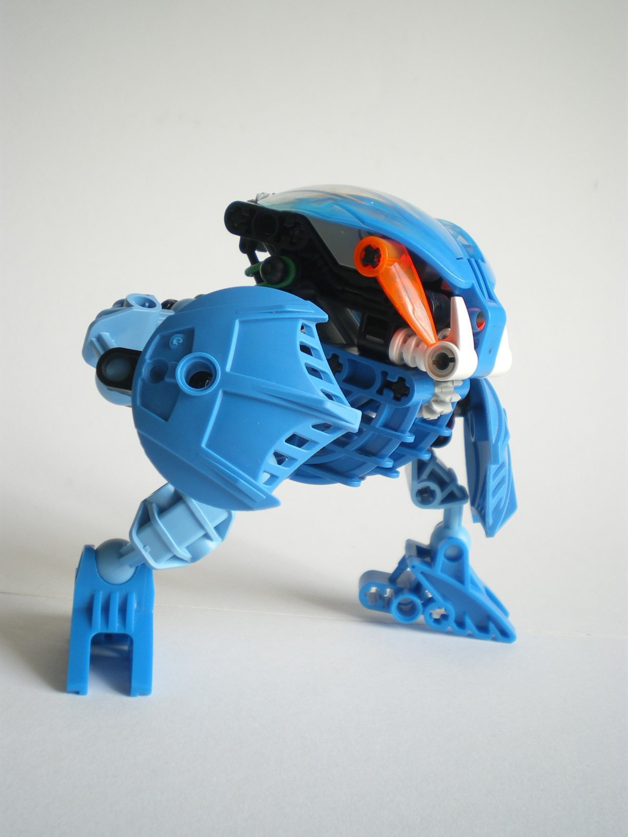 imgp7174.jpg
