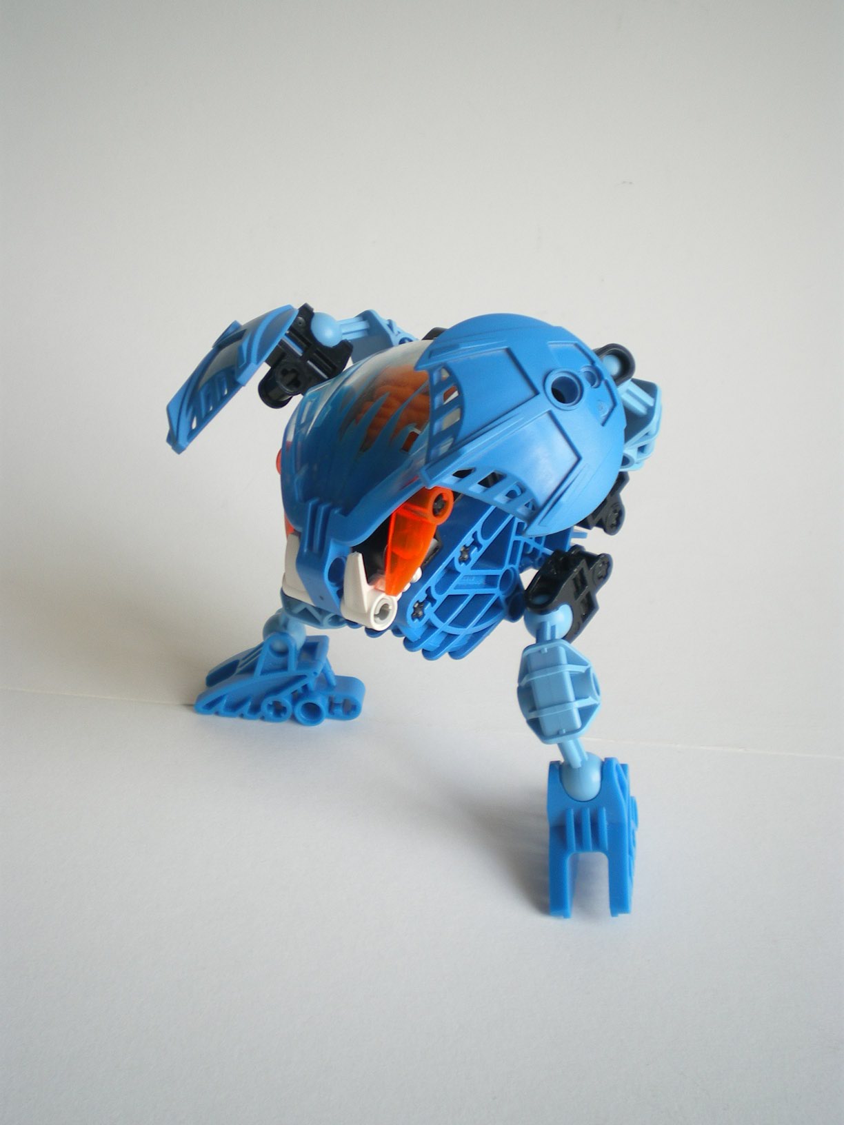 imgp7176.jpg